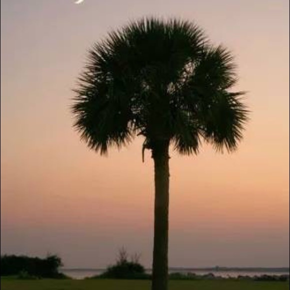 Meet your Posher, Cindy - Picture 1 of 1